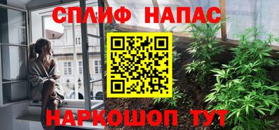 дживик Камышлов