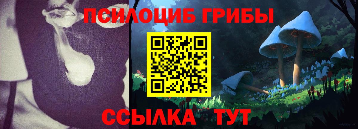 Псилоцибиновые грибы Psilocybe  Галлюциногенные грибы MAGIC MUSHROOMS  Кострома  Вход с VPN 